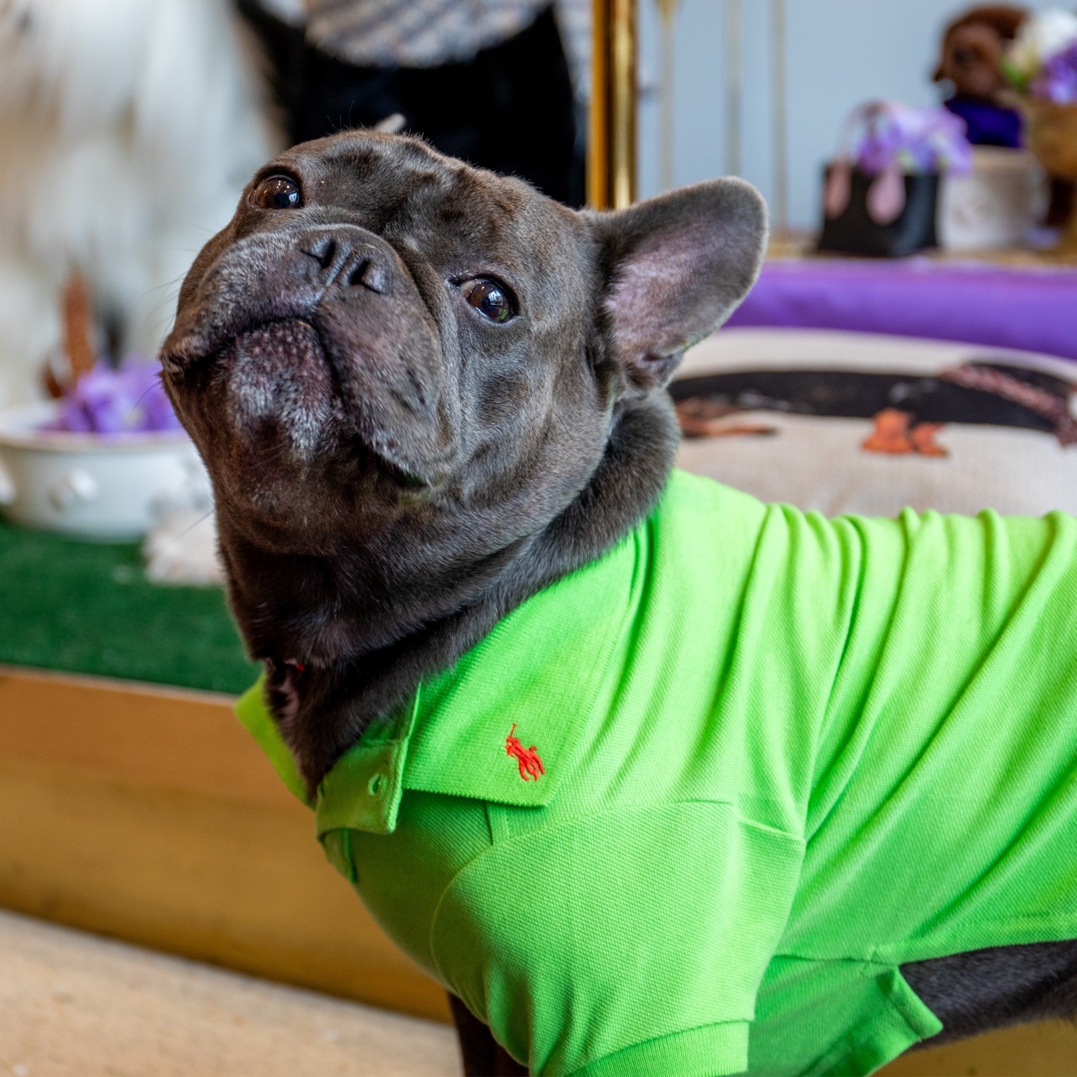 Mr. Dior in neon green.