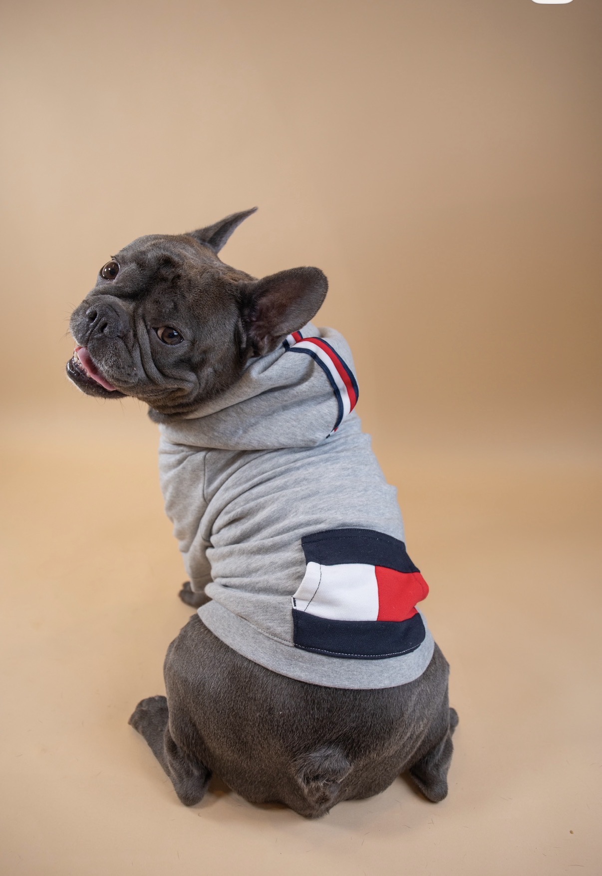 Mr. Dior in a classic hoodie.