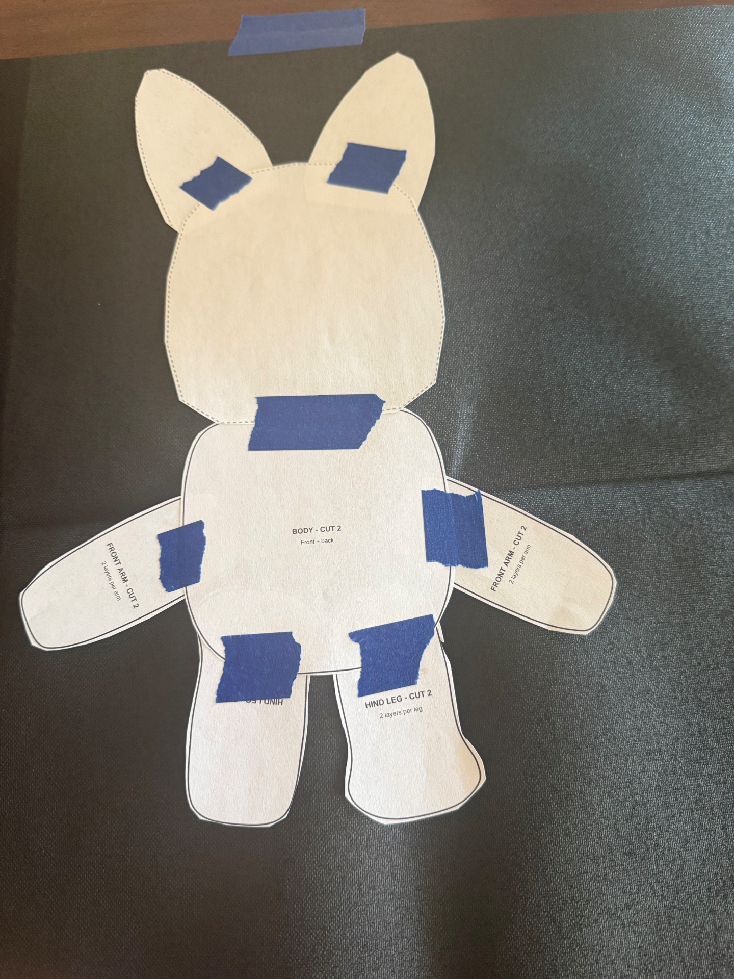 Full body pattern laid out and taped together.