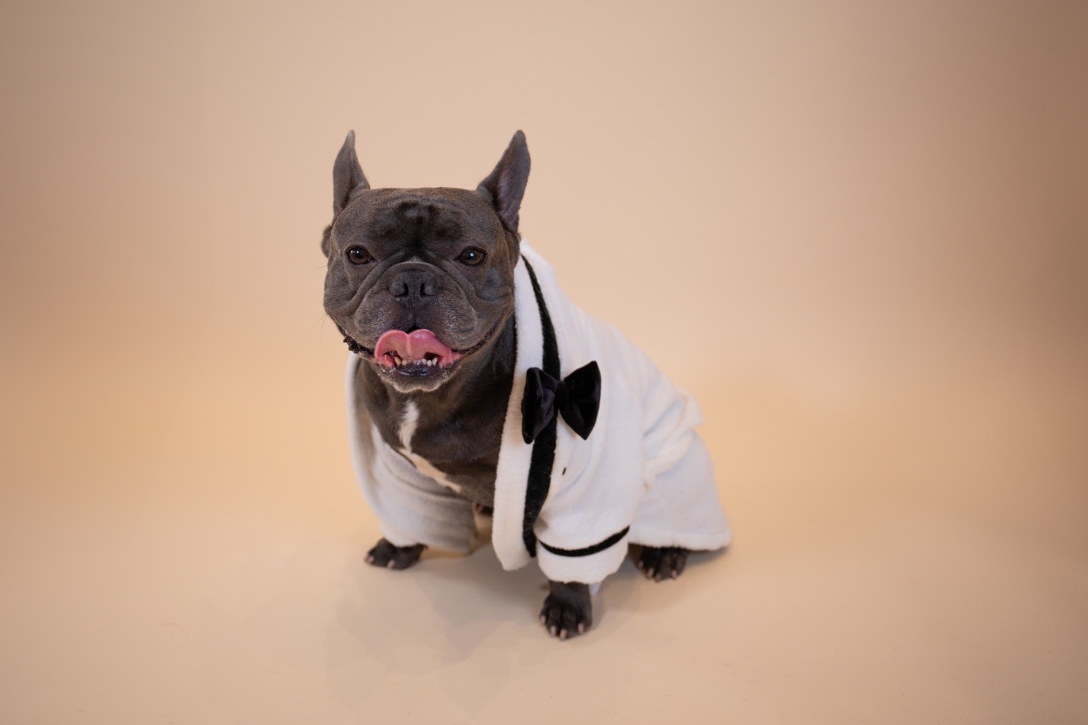 Mr. Dior dressed to impress.