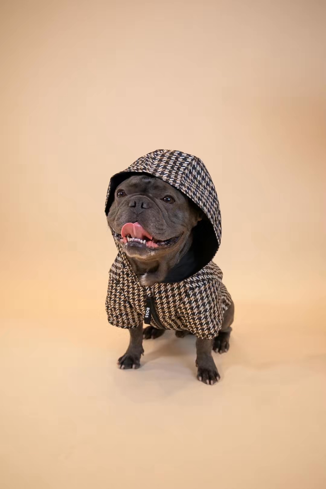 Mr. Dior in houndstooth.