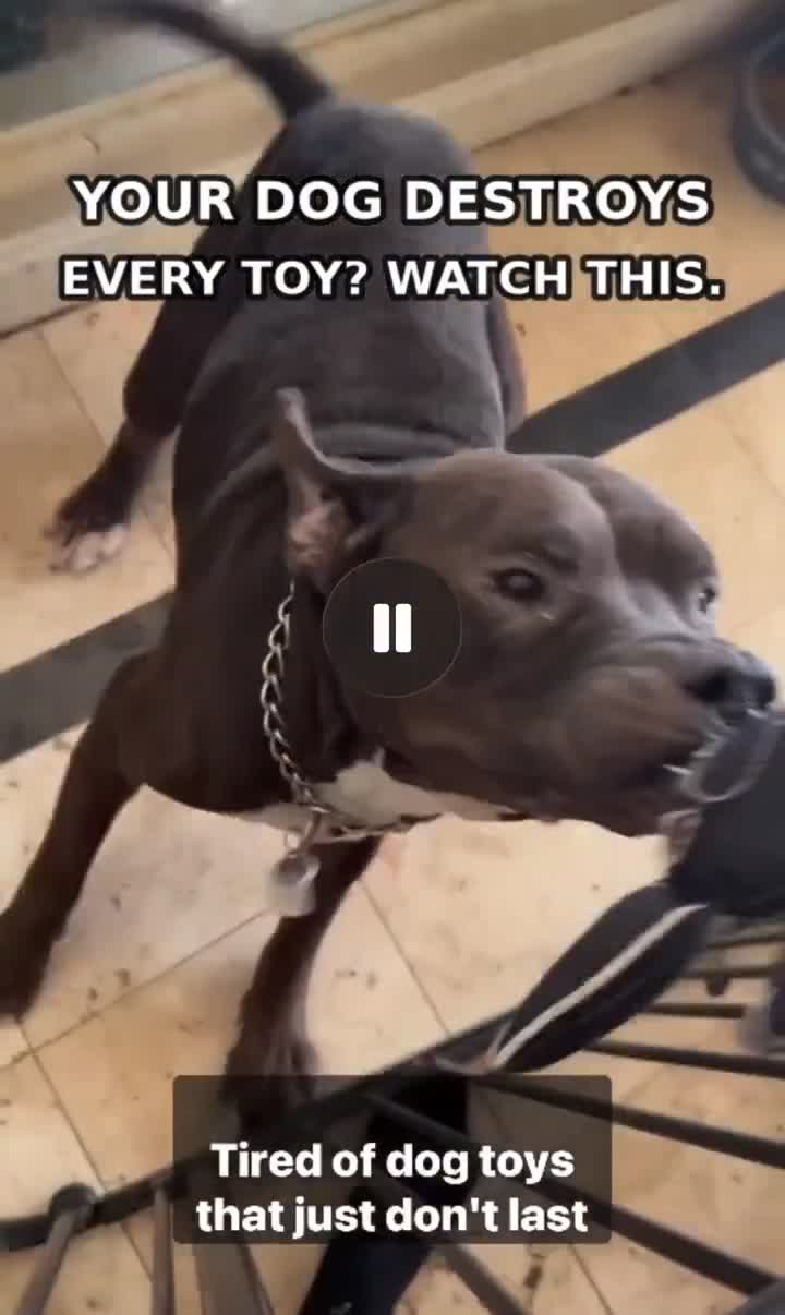 Real play footage